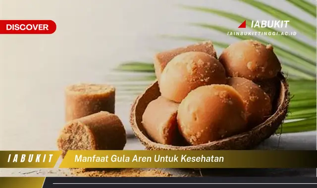 manfaat gula aren untuk kesehatan