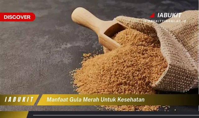 manfaat gula merah untuk kesehatan