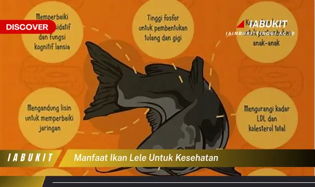 manfaat ikan lele untuk kesehatan