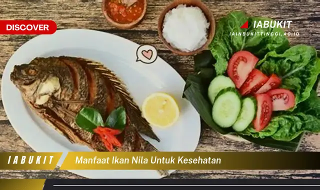 manfaat ikan nila untuk kesehatan