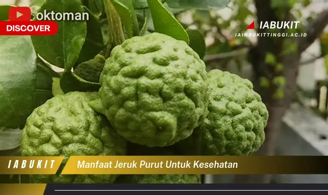 manfaat jeruk purut untuk kesehatan