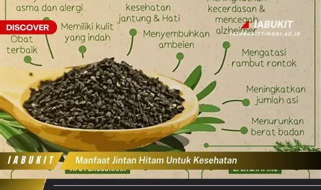 manfaat jintan hitam untuk kesehatan