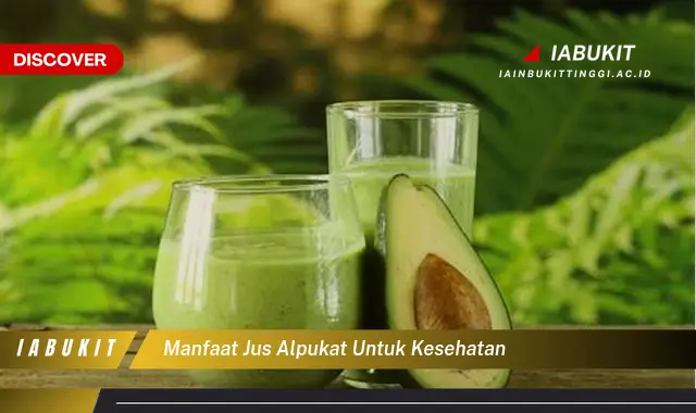 manfaat jus alpukat untuk kesehatan