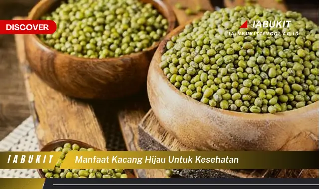 manfaat kacang hijau untuk kesehatan