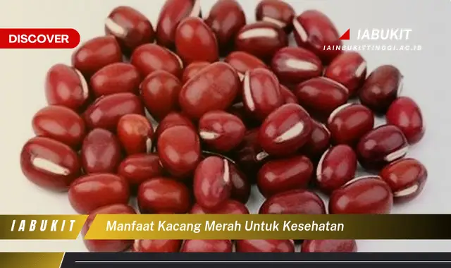 manfaat kacang merah untuk kesehatan