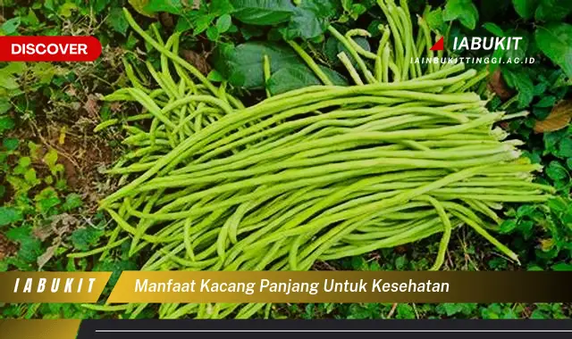 manfaat kacang panjang untuk kesehatan