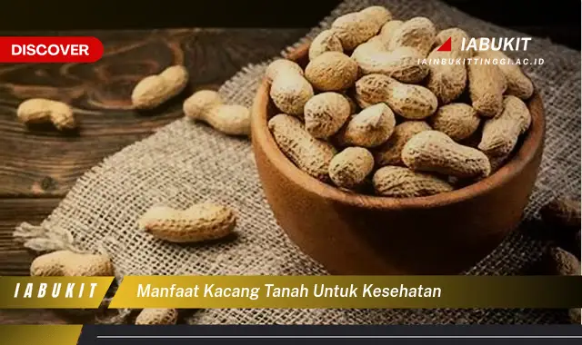 manfaat kacang tanah untuk kesehatan