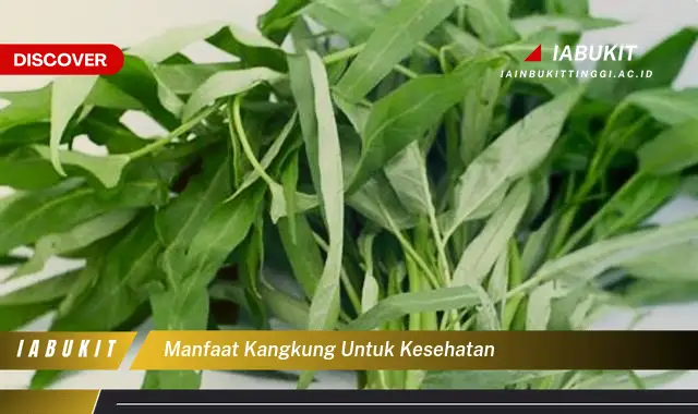 manfaat kangkung untuk kesehatan