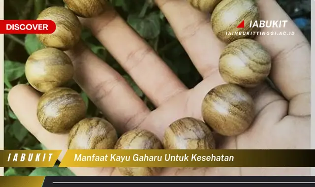 manfaat kayu gaharu untuk kesehatan