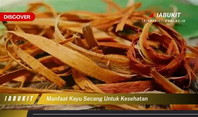 manfaat kayu secang untuk kesehatan