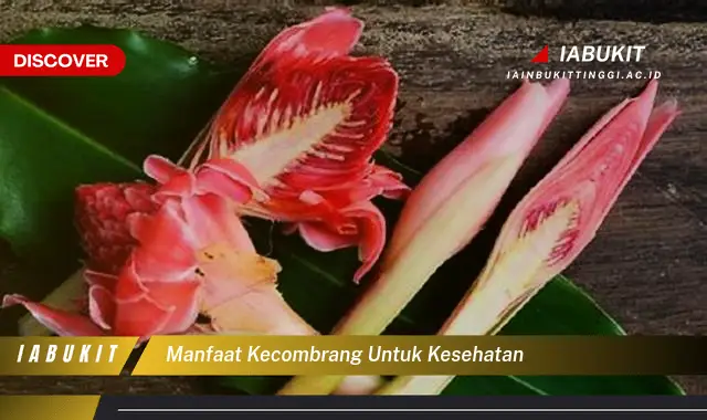 manfaat kecombrang untuk kesehatan