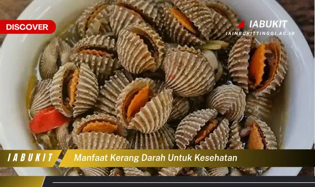 manfaat kerang darah untuk kesehatan