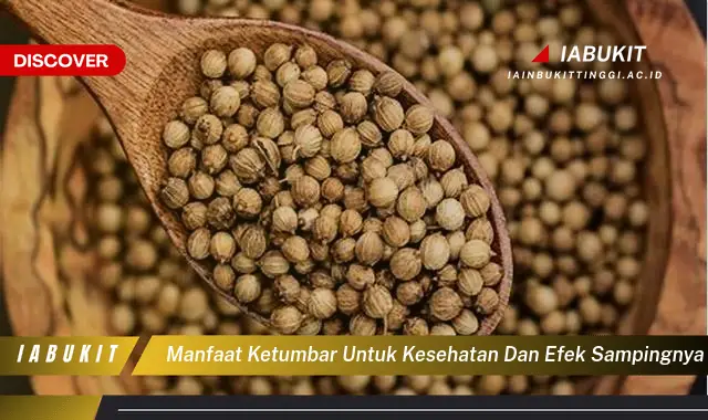 manfaat ketumbar untuk kesehatan dan efek sampingnya