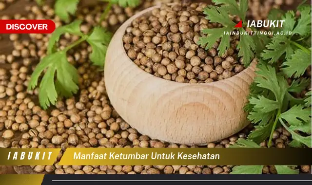 manfaat ketumbar untuk kesehatan