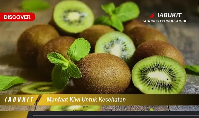 manfaat kiwi untuk kesehatan