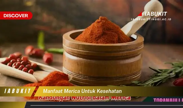 manfaat merica untuk kesehatan