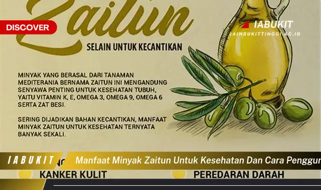 manfaat minyak zaitun untuk kesehatan dan cara penggunaannya