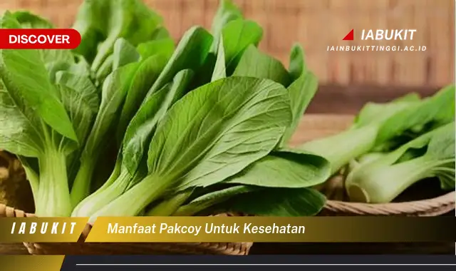 manfaat pakcoy untuk kesehatan