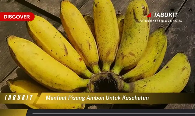 manfaat pisang ambon untuk kesehatan