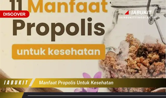 manfaat propolis untuk kesehatan