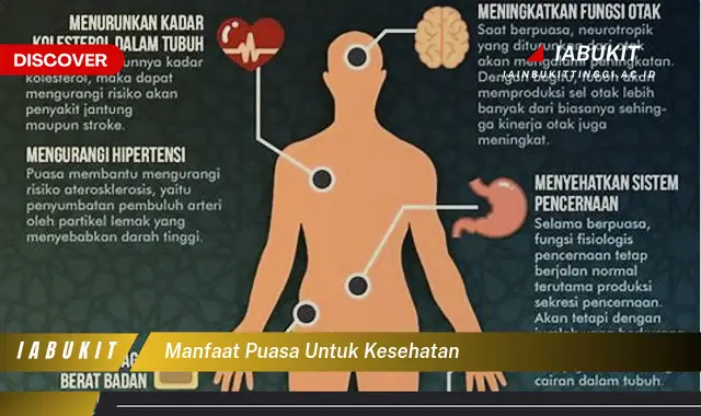 manfaat puasa untuk kesehatan