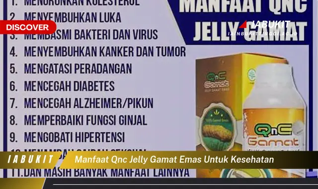 manfaat qnc jelly gamat emas untuk kesehatan