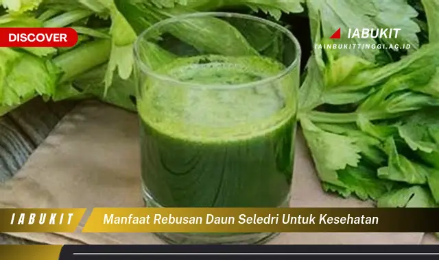 manfaat rebusan daun seledri untuk kesehatan