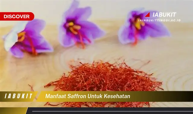 manfaat saffron untuk kesehatan