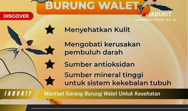 manfaat sarang burung walet untuk kesehatan