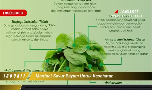 manfaat sayur bayam untuk kesehatan