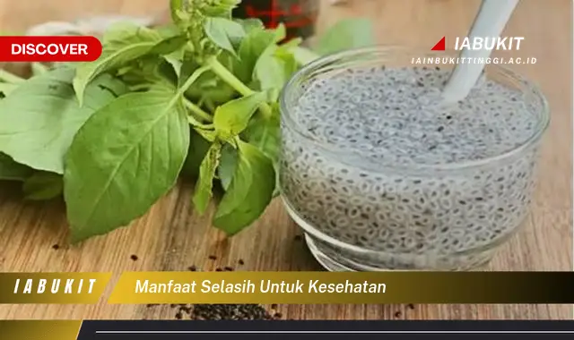 manfaat selasih untuk kesehatan