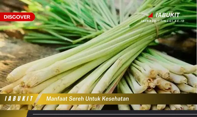 manfaat sereh untuk kesehatan
