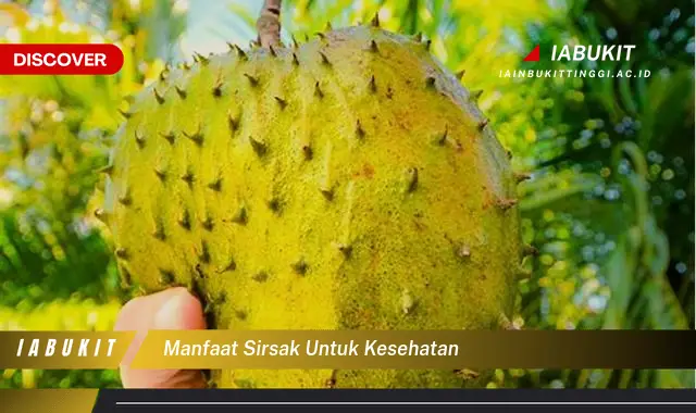 manfaat sirsak untuk kesehatan