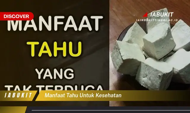 manfaat tahu untuk kesehatan