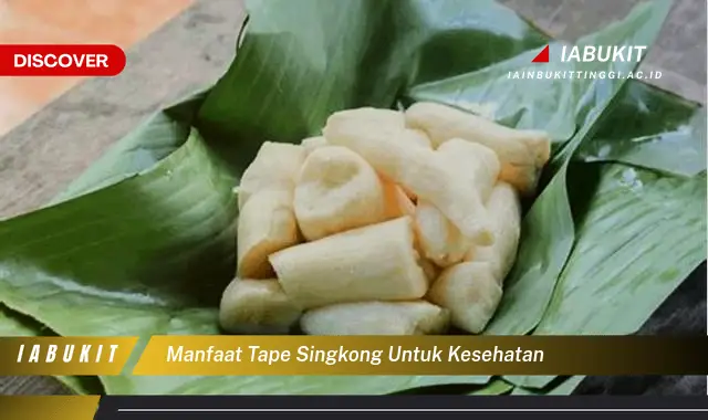 manfaat tape singkong untuk kesehatan