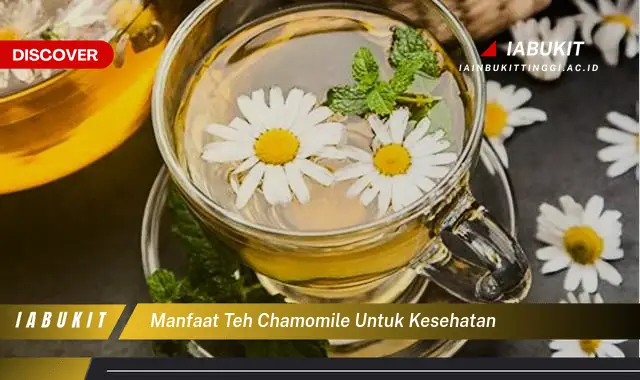 manfaat teh chamomile untuk kesehatan