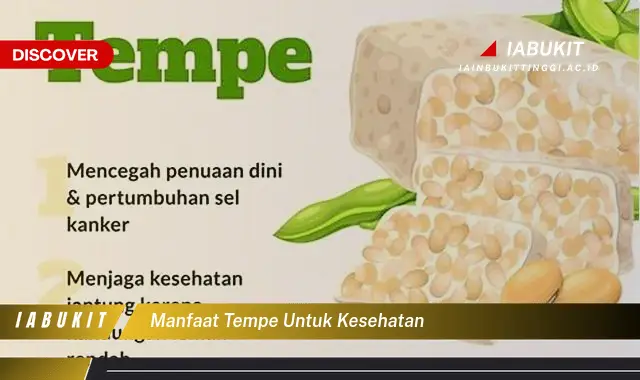 manfaat tempe untuk kesehatan