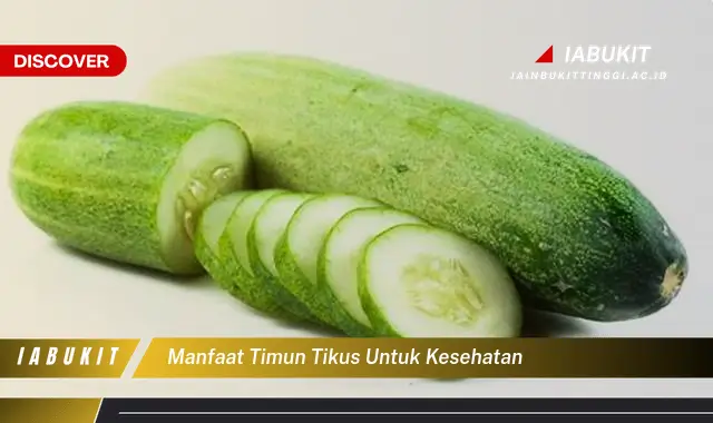 manfaat timun tikus untuk kesehatan