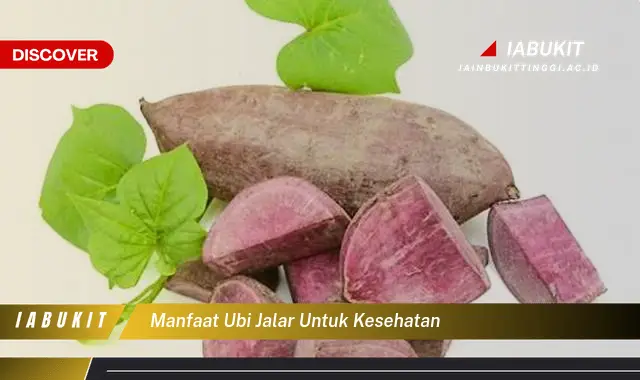 manfaat ubi jalar untuk kesehatan