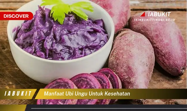 manfaat ubi ungu untuk kesehatan