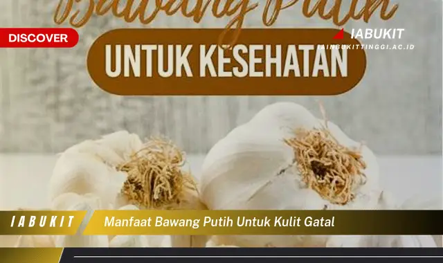 manfaat bawang putih untuk kulit gatal