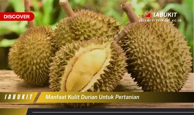 manfaat kulit durian untuk pertanian