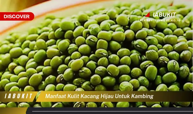 manfaat kulit kacang hijau untuk kambing