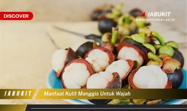 manfaat kulit manggis untuk wajah