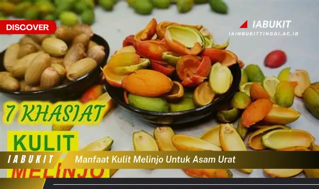 manfaat kulit melinjo untuk asam urat