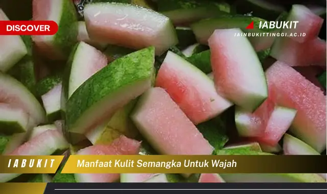 manfaat kulit semangka untuk wajah