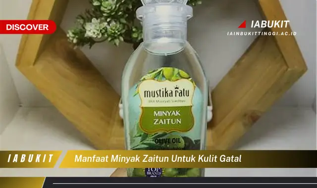 manfaat minyak zaitun untuk kulit gatal