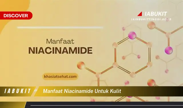 manfaat niacinamide untuk kulit