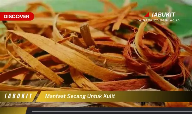 manfaat secang untuk kulit