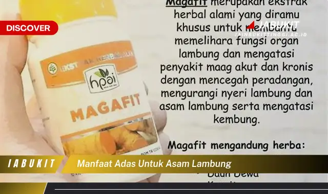 manfaat adas untuk asam lambung